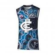 Camiseta Carlton Blues AFL 2022 Indigena RU151-1233
